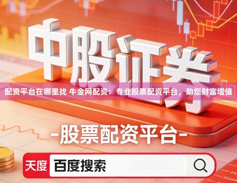 配资平台在哪里找 牛金网配资：专业股票配资平台，助您财富增值