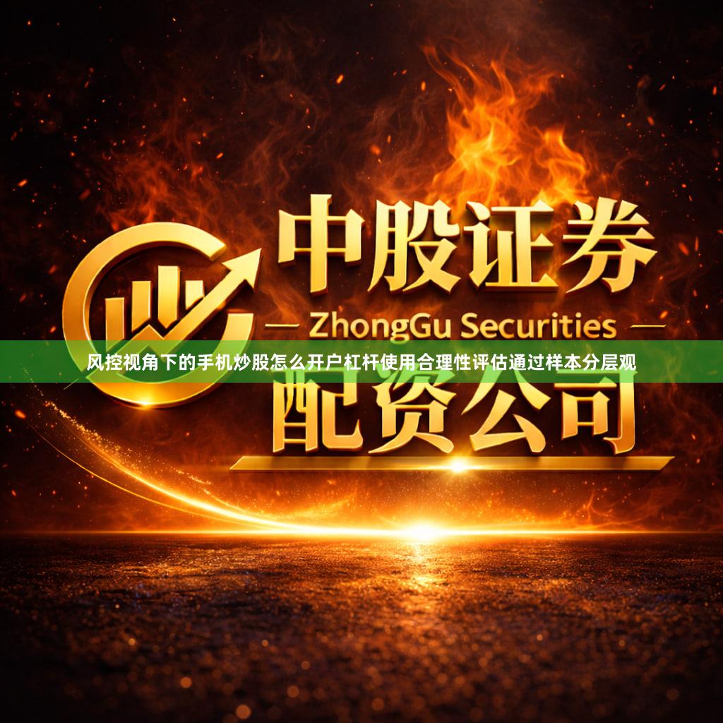 风控视角下的手机炒股怎么开户杠杆使用合理性评估通过样本分层观
