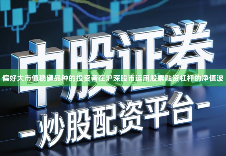 偏好大市值稳健品种的投资者在沪深股市运用股票融资杠杆的净值波