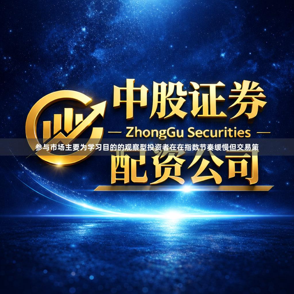 参与市场主要为学习目的的观察型投资者在在指数节奏缓慢但交易策