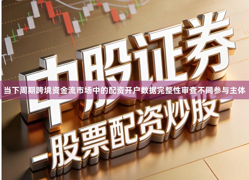 当下周期跨境资金流市场中的配资开户数据完整性审查不同参与主体