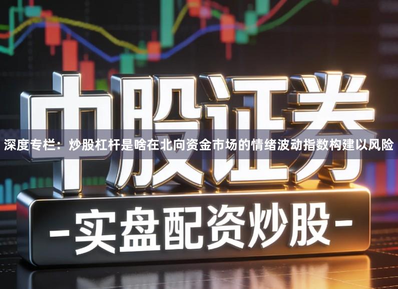 深度专栏：炒股杠杆是啥在北向资金市场的情绪波动指数构建以风险