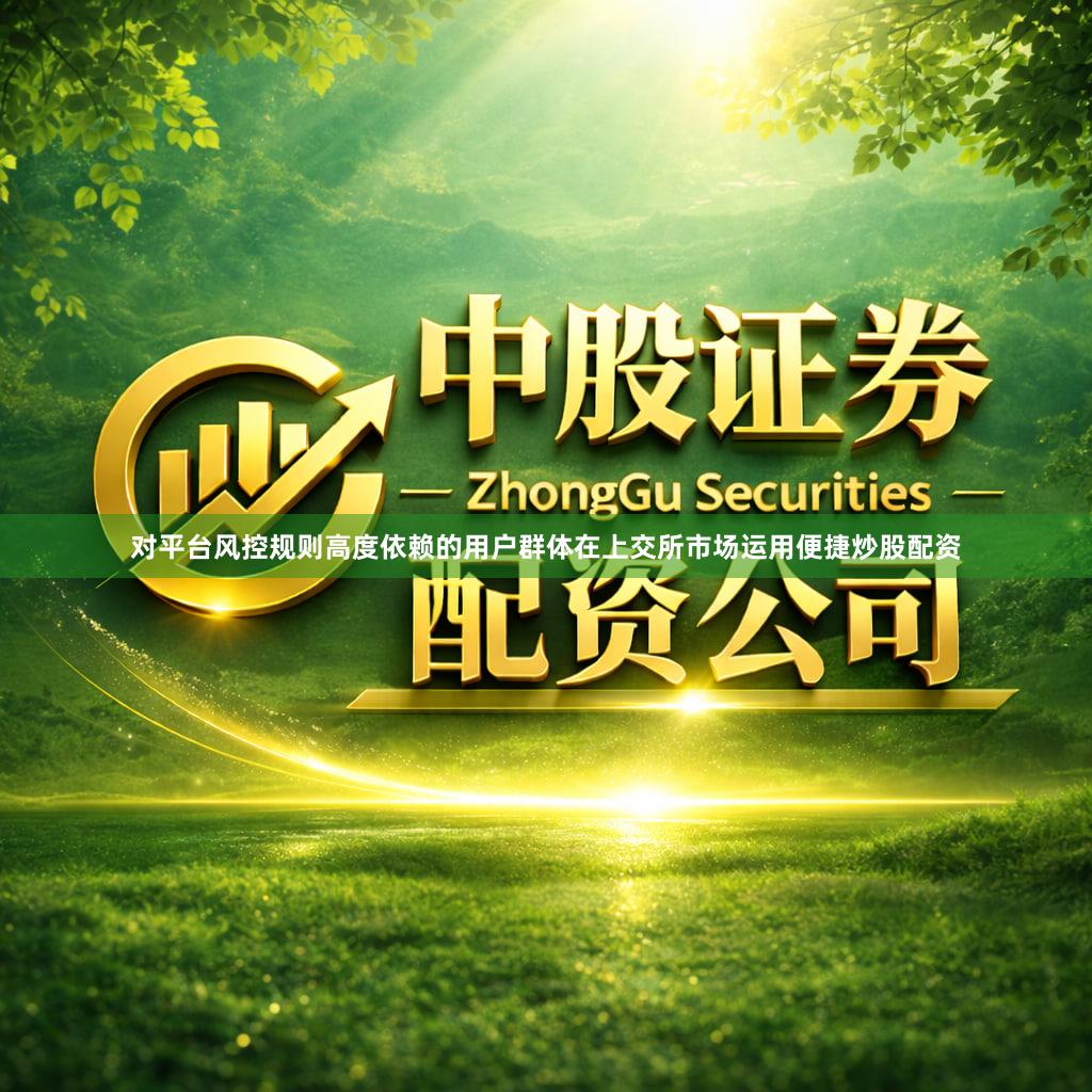 对平台风控规则高度依赖的用户群体在上交所市场运用便捷炒股配资